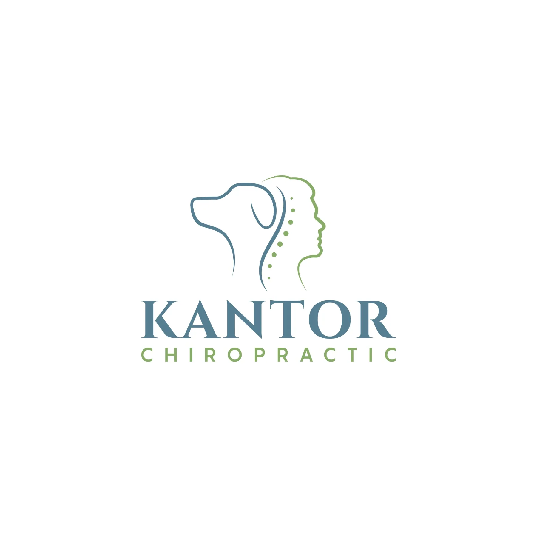 Chase Kantor, DC - Kantor Chiropractic profile photo