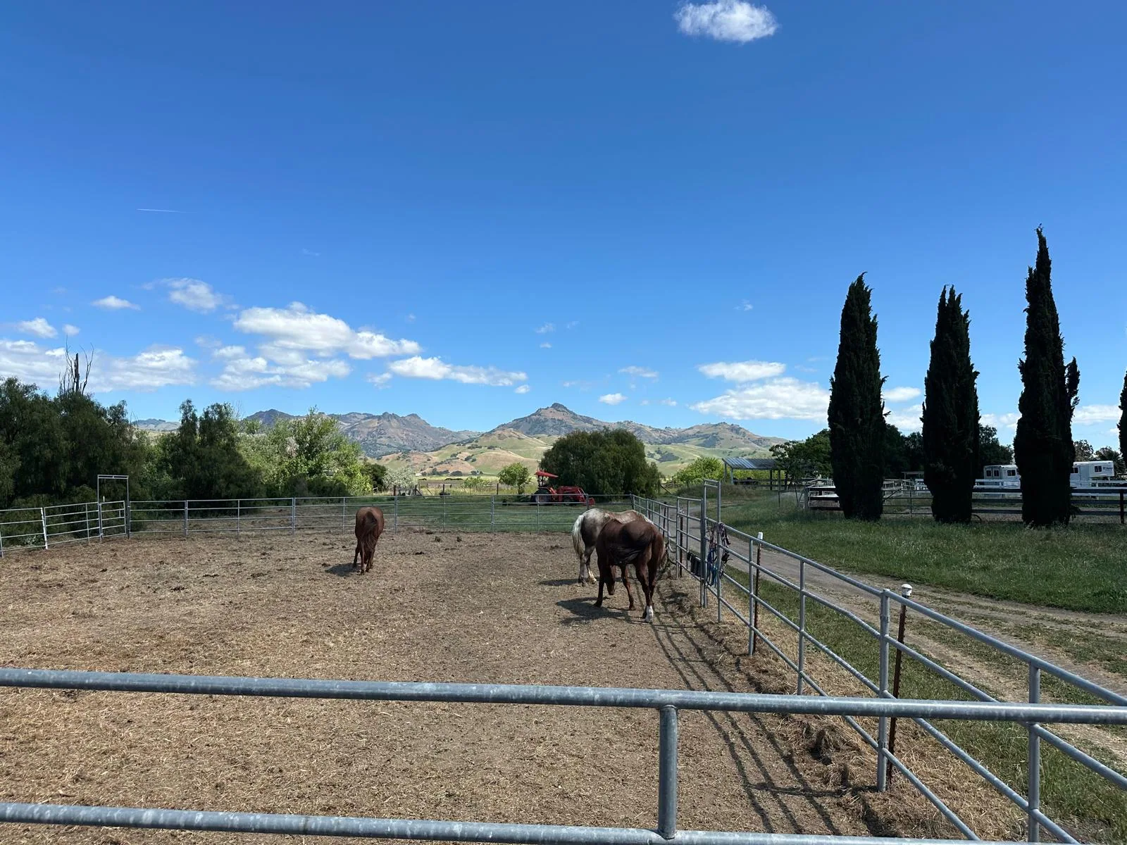 Bar SZ Ranch gallery photo 2