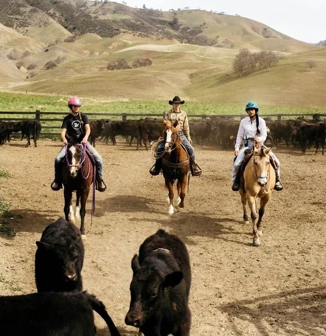 Bar SZ Ranch gallery photo 4