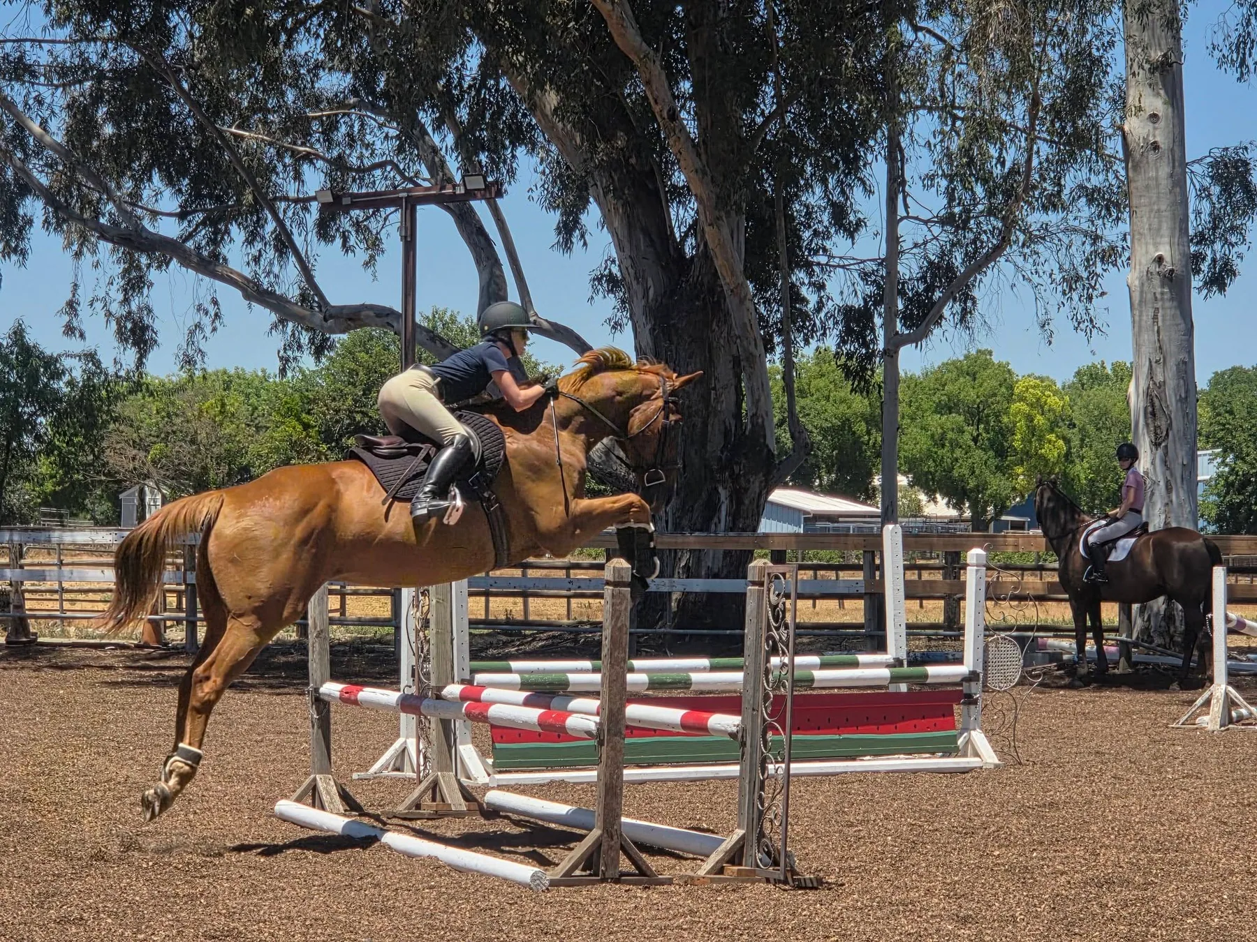 Pine Trails Ranch gallery photo 1