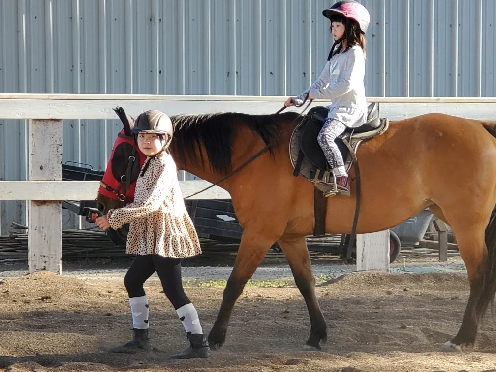 Pine Trails Ranch gallery photo 3