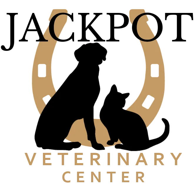 Jackpot Veterinary Center profile photo