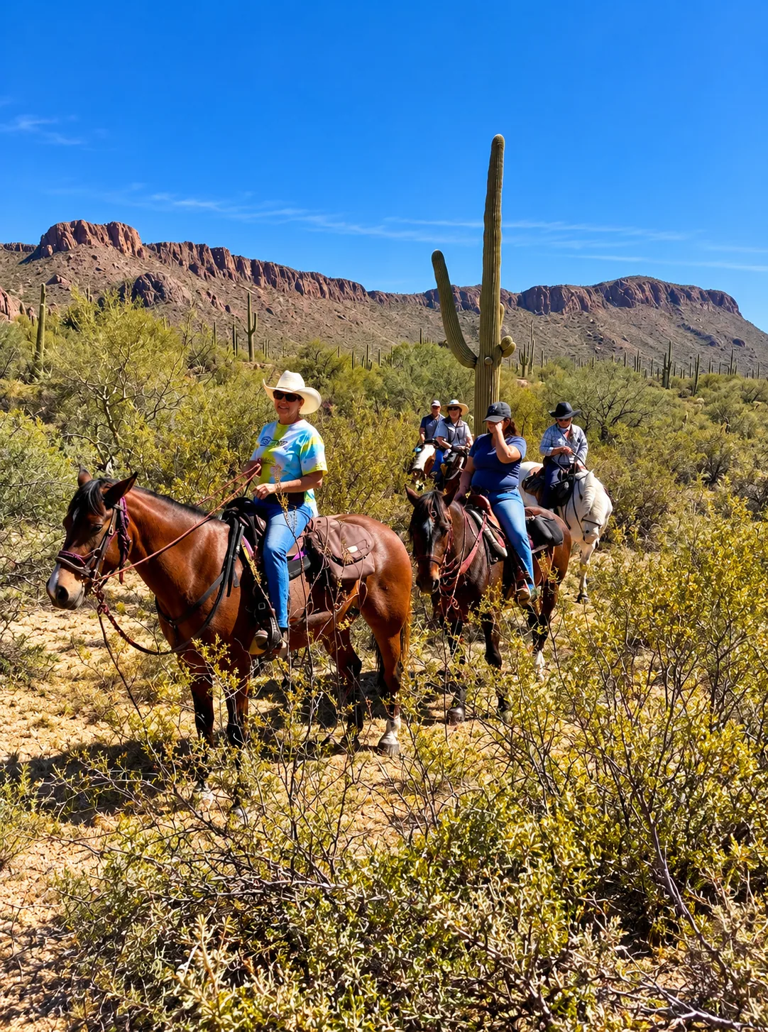 Guided horseback ride in the Sonoran Desert