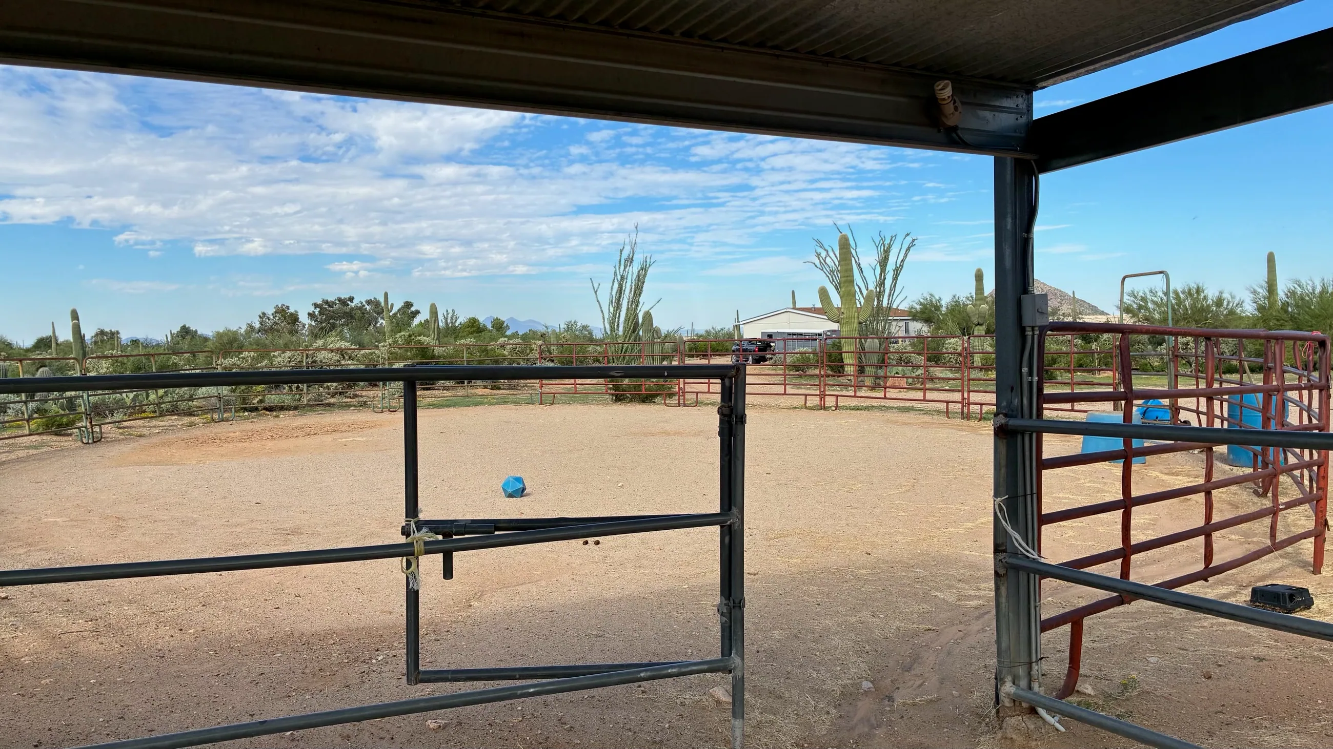 Horse lodging area